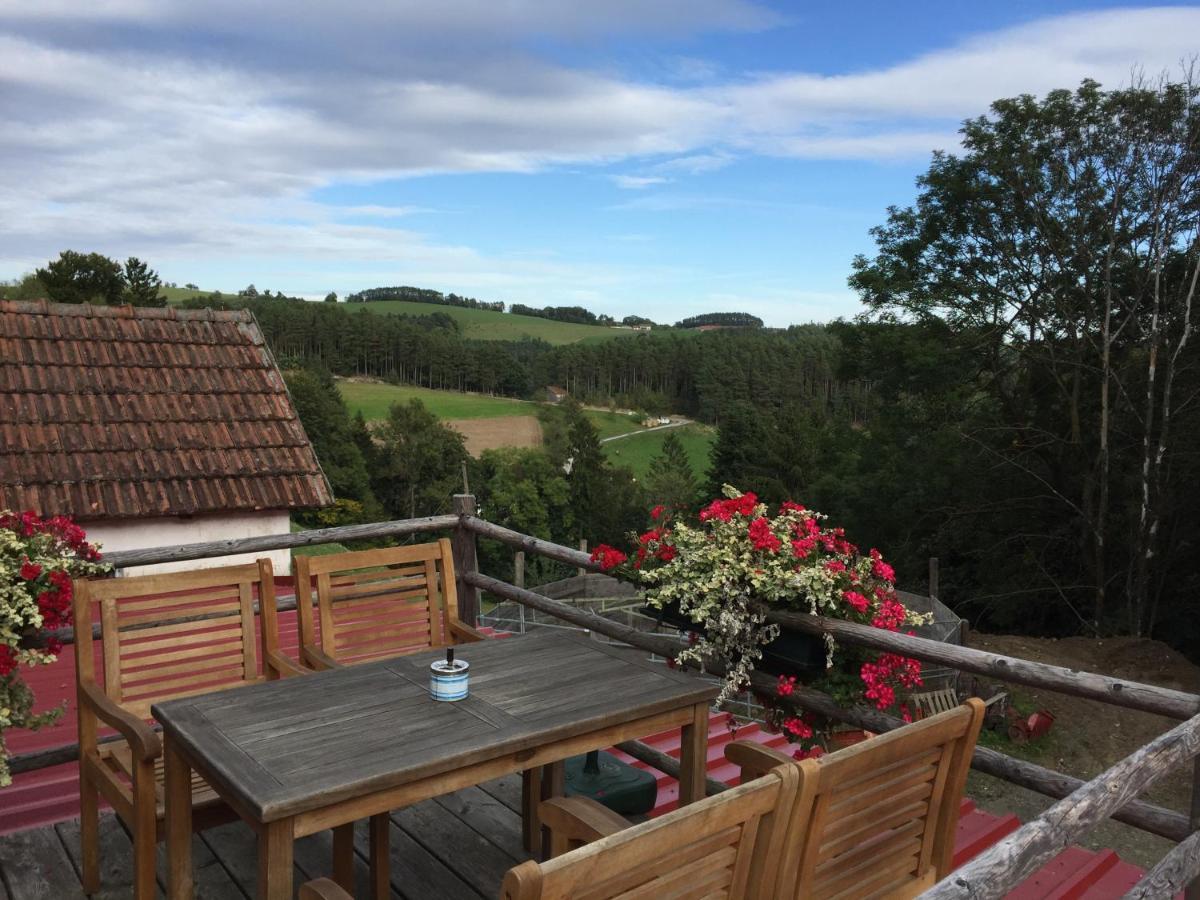 Bad Schönau Haflingerhof Luefヴィラ エクステリア 写真