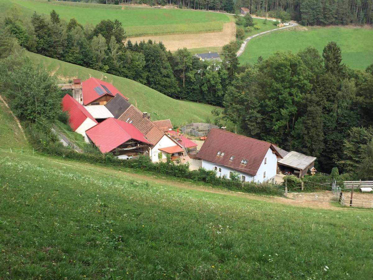 Bad Schönau Haflingerhof Luefヴィラ エクステリア 写真