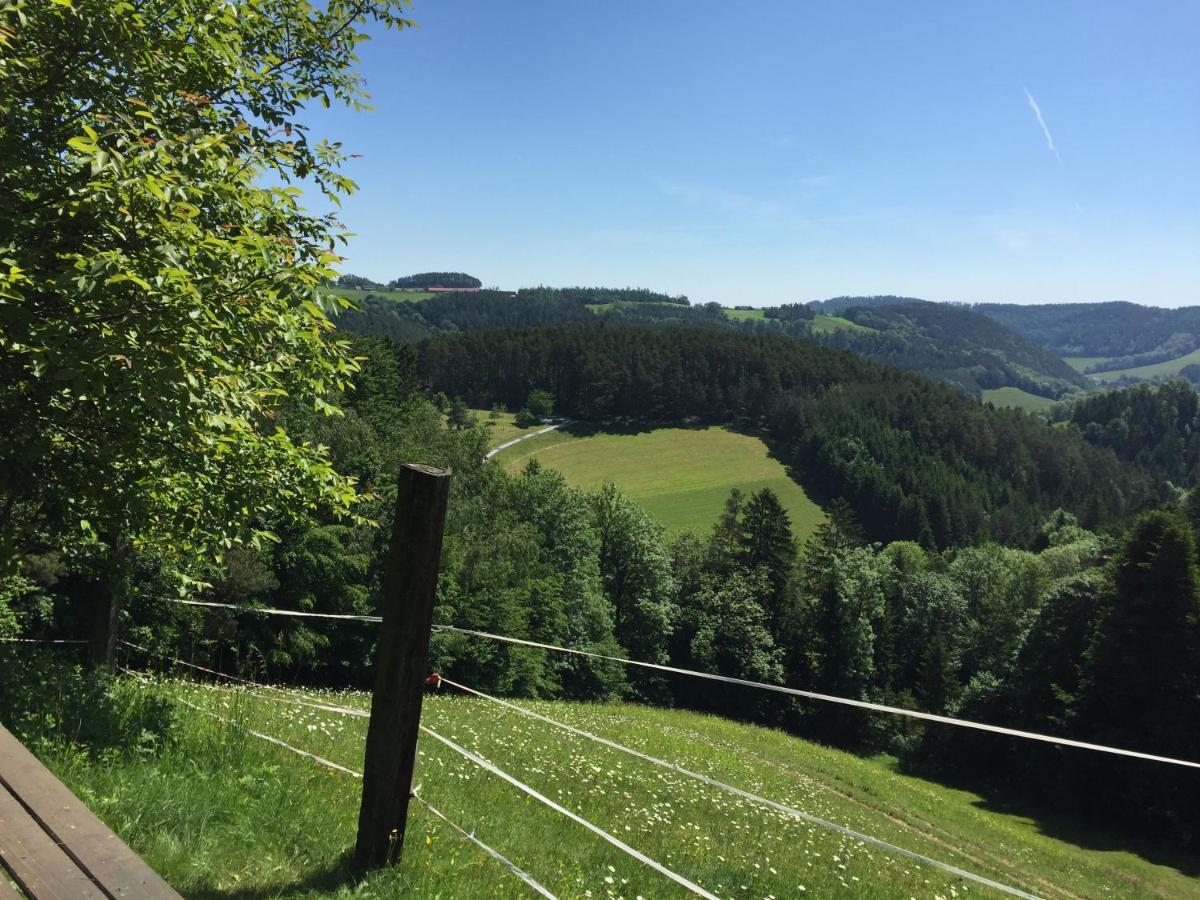 Bad Schönau Haflingerhof Luefヴィラ エクステリア 写真