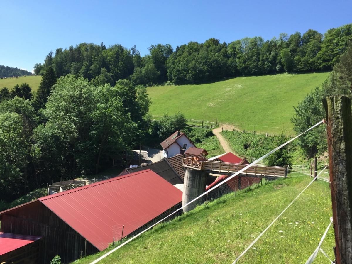 Bad Schönau Haflingerhof Luefヴィラ エクステリア 写真