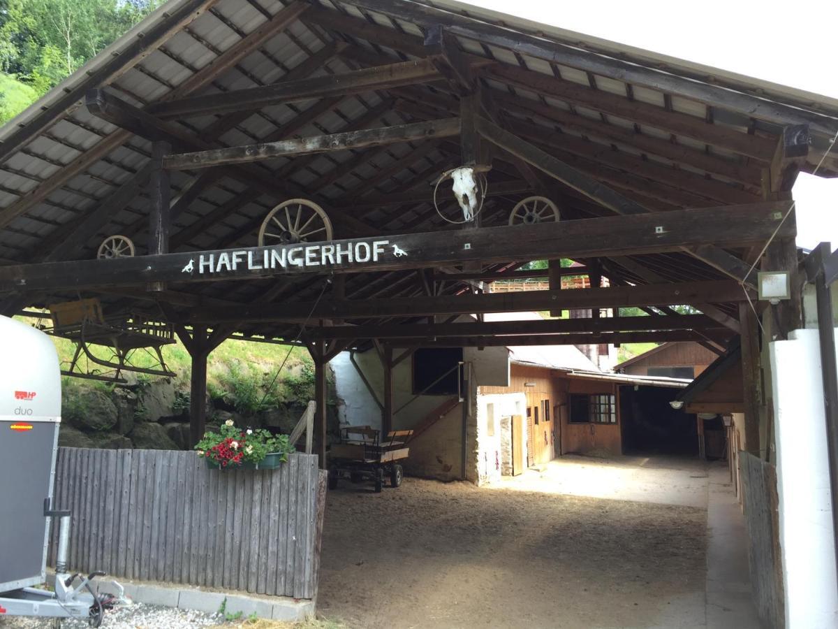 Bad Schönau Haflingerhof Luefヴィラ エクステリア 写真