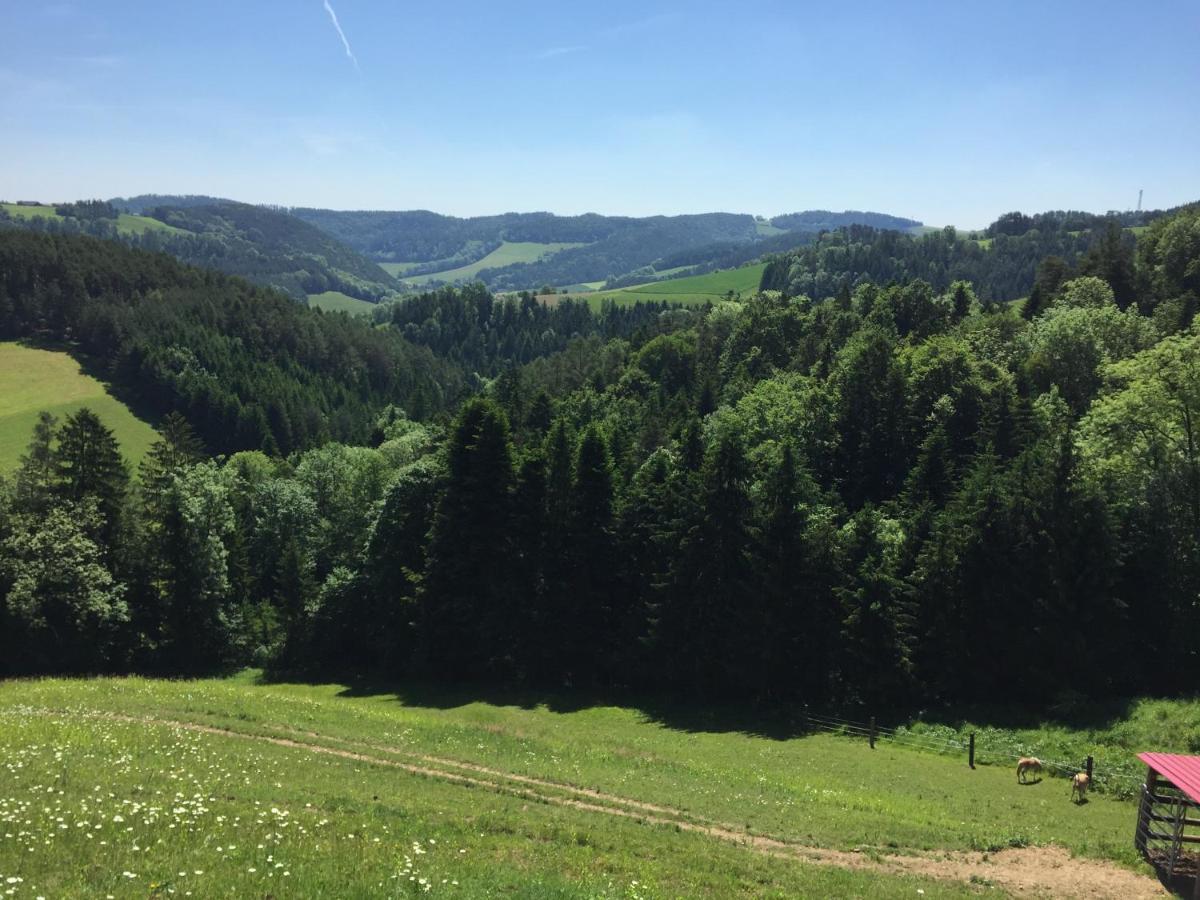 Bad Schönau Haflingerhof Luefヴィラ エクステリア 写真